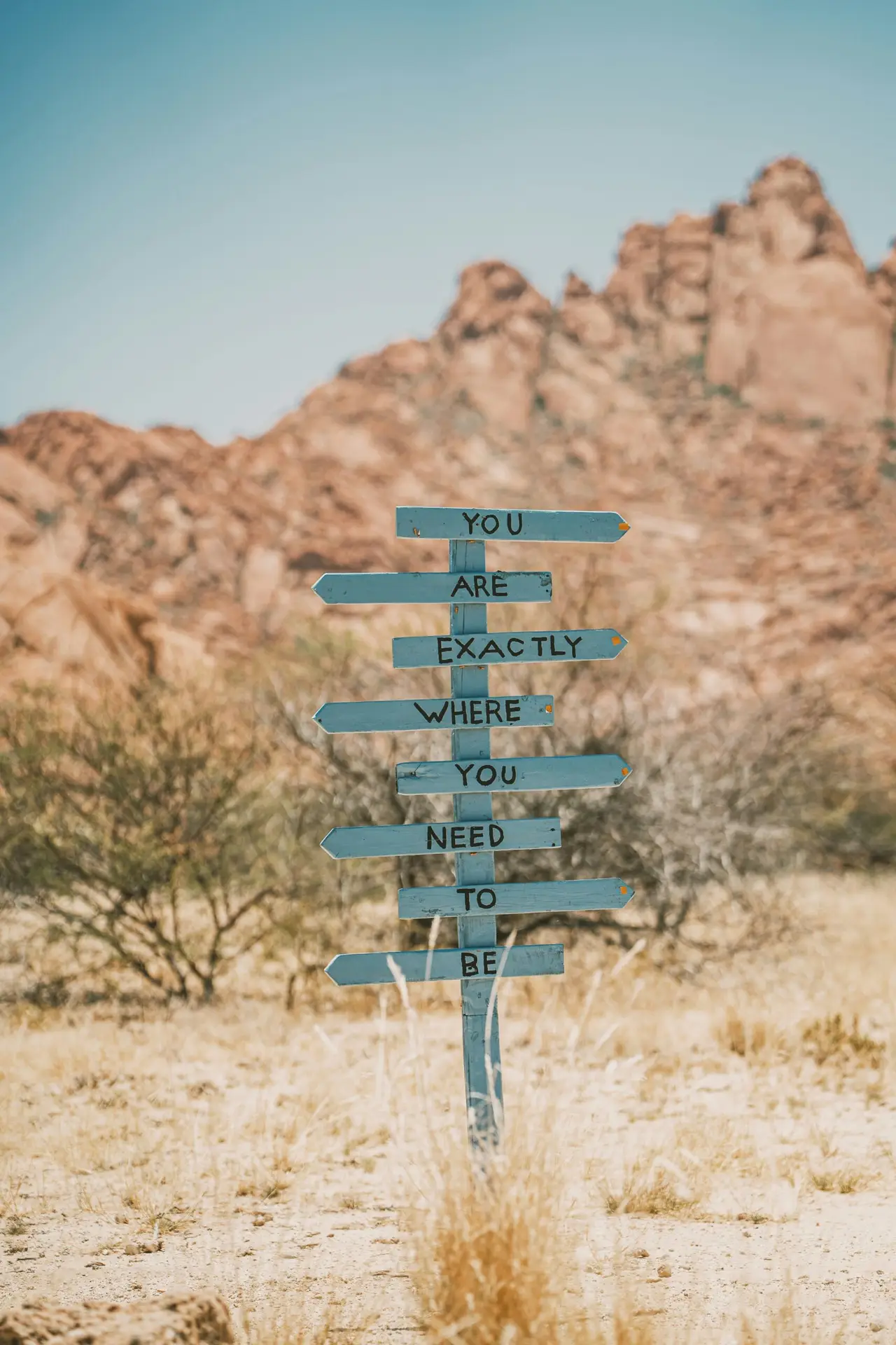 nir himi icvuae5vabo unsplash 1 scaled